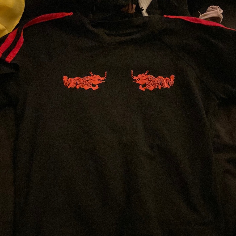 Black red dragon crop top